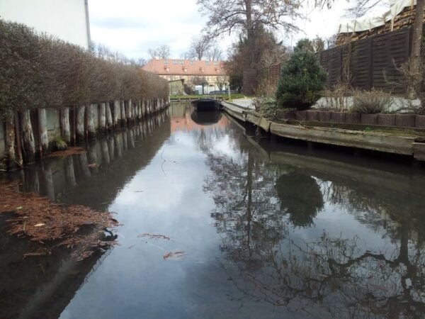 From Dresden: Day Trip to The Spreewald - Common Questions