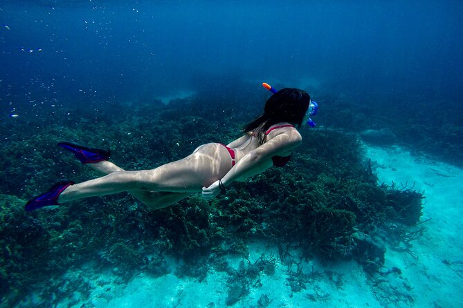 From Dubai: Discovery Scuba Diving Trip in Fujairah - Exploring the Underwater World