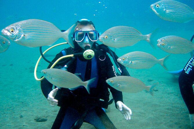 From Dubai: Discovery Scuba Diving Trip in Fujairah - Practicing Basic Diving Techniques