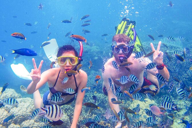 From Dubai: Snorkeling Trip in Fujairah - Snorkel and See Colorful Fish and Sea Life