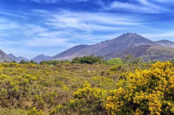 From Dublin: 3-Day Discover Northern Ireland Tour - Inclusions