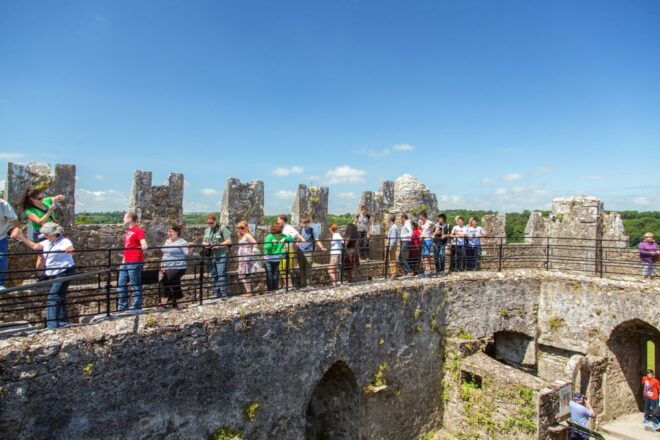 From Dublin: Blarney Castle Full-Day Tour - Review Summary
