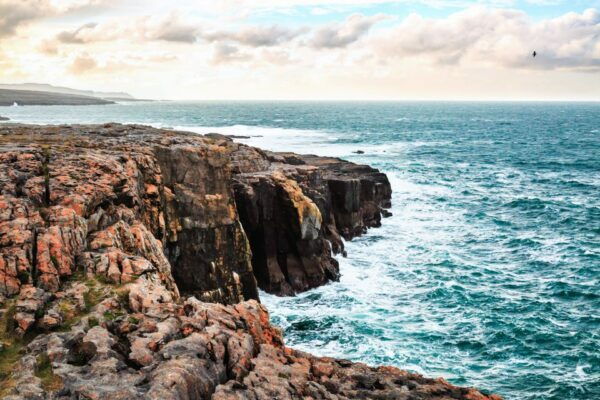 From Dublin: Cliffs of Moher and Galway City Full-Day Trip - Galway City Visit