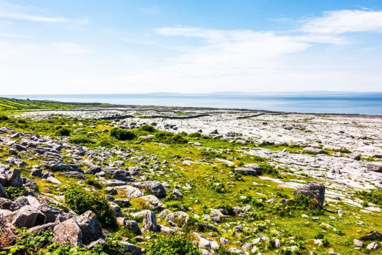 From Dublin: Cliffs of Moher, Burren & Galway City Day Tour - FAQs