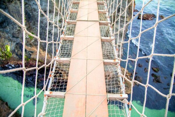 From Dublin: Giant's Causeway & Belfast City Bus Tour - Belfast City