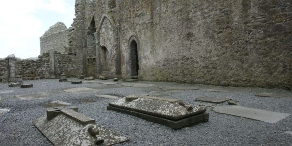 From Dublin: Guided Day Trip to Cliffs of Moher and Galway - Common Questions