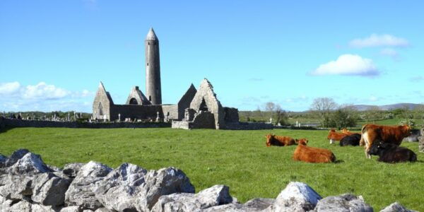 From Dublin: Guided Day Trip to Cliffs of Moher and Galway - The Sum Up