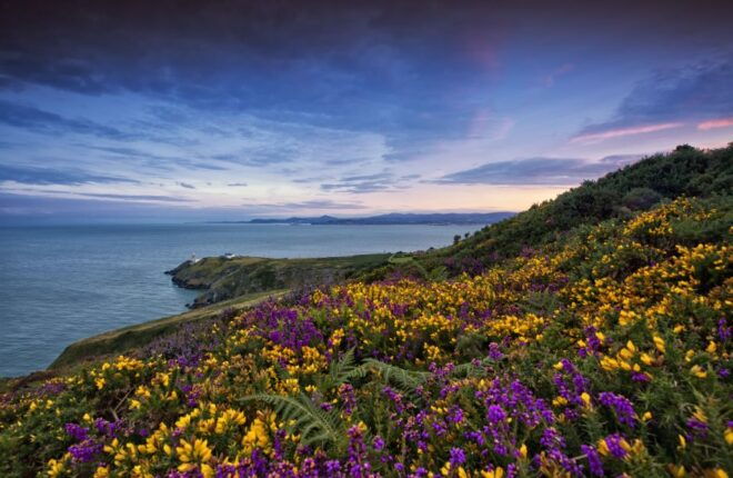 From Dublin: Half-Day Guided Coastal Tour to Howth Village - Full Description of the Tour