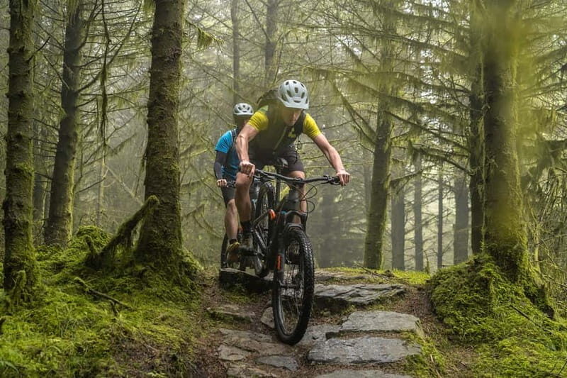 From Dublin: Mountain Bike Experience - Discovering the Trails: What to Expect
