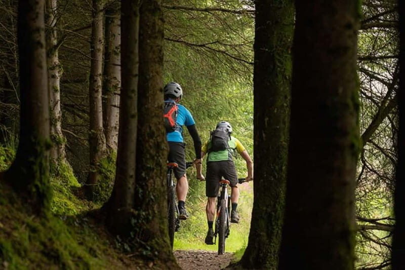 From Dublin: Mountain Bike Experience - The Experience for Different Riders