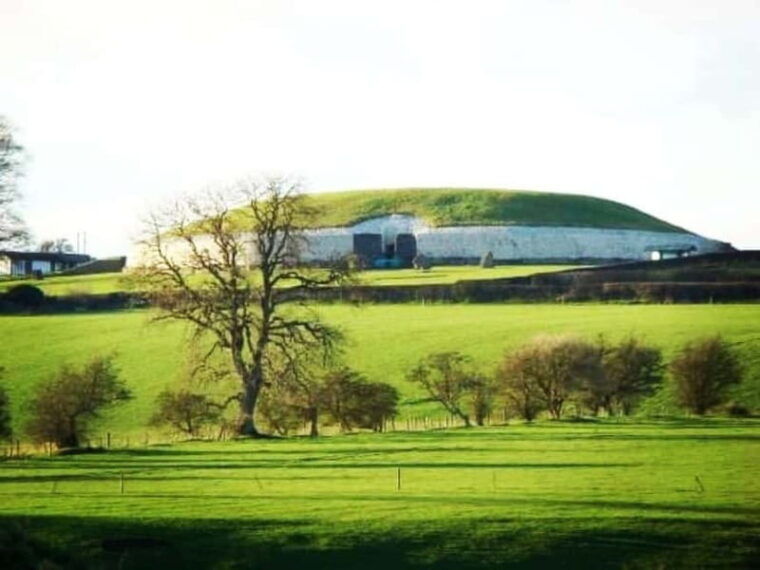 From Dublin: Newgrange, Trim Castle and Hill of Tara - Who Will Appreciate This Tour?