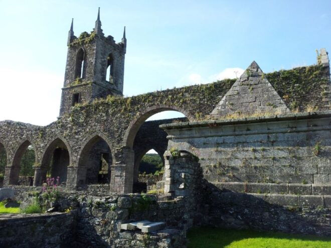 From Dublin: Wicklow and Glendalough Tour - Additional Information