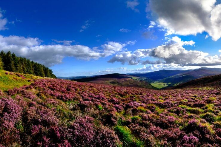 From Dublin: Wicklow Mountains, Glendalough, & Kilkenny Tour - Tour Details