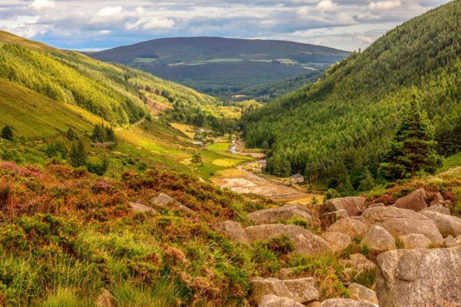 From Dublin: Wild Wicklow Mountains and Glendalough Tour - Wicklow Mountains National Park