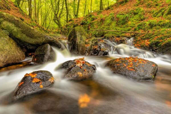From Dublin: Wild Wicklow Mountains and Glendalough Tour - Tour Experience and Amenities