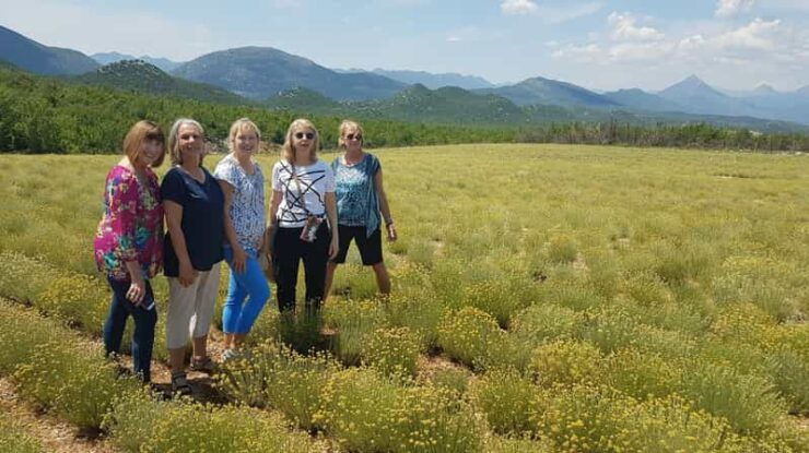 From Dubrovnik: Full-Day Family Farm-To-Table Culinary Tour - Good To Know