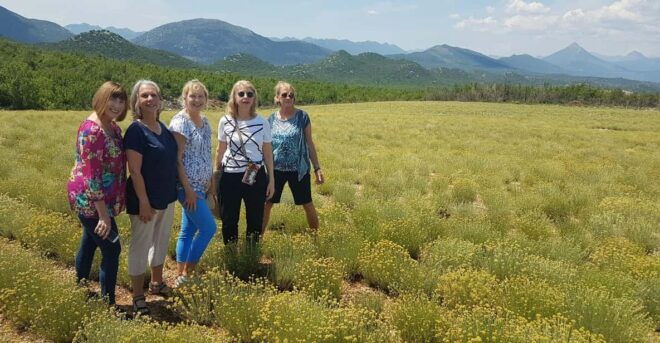 From Dubrovnik: Full-Day Family Farm-To-Table Culinary Tour - Culinary Experience