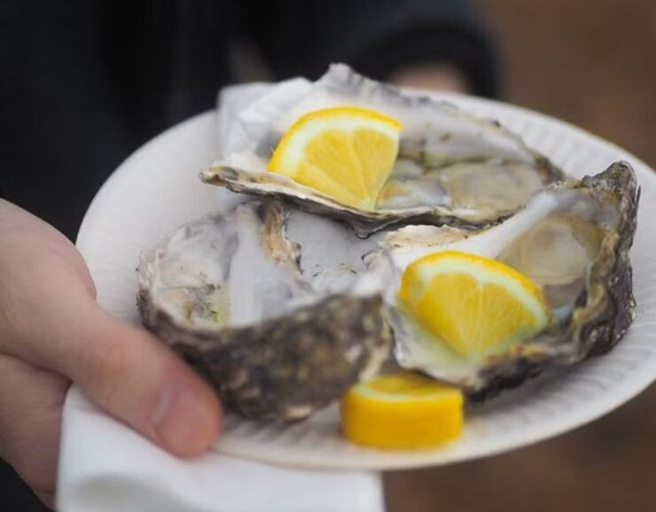 From Dubrovnik: Full-Day Tour to Ston & Oyster Tasting - Experience Highlights