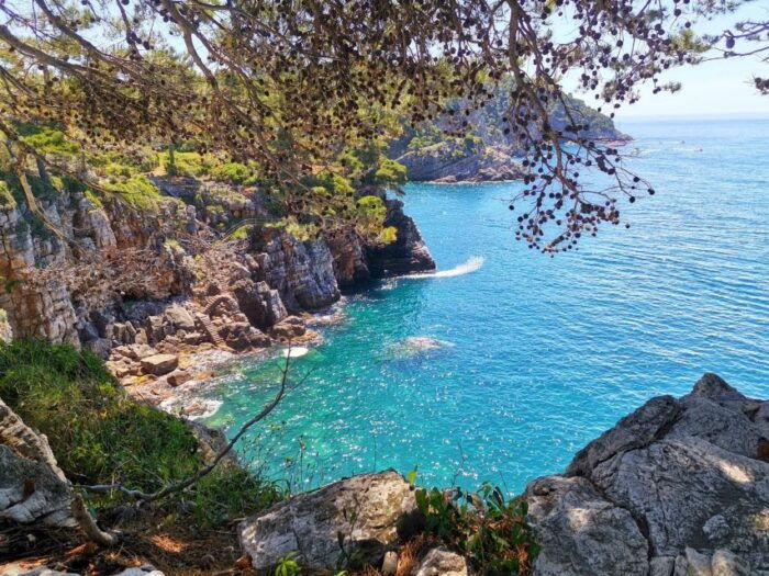 From Dubrovnik: Hiking & Swimming on Koloep Island Day Trip - The Sum Up