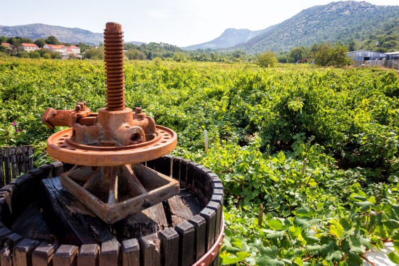 From Dubrovnik: Island of Korula with wine tasting - Good To Know