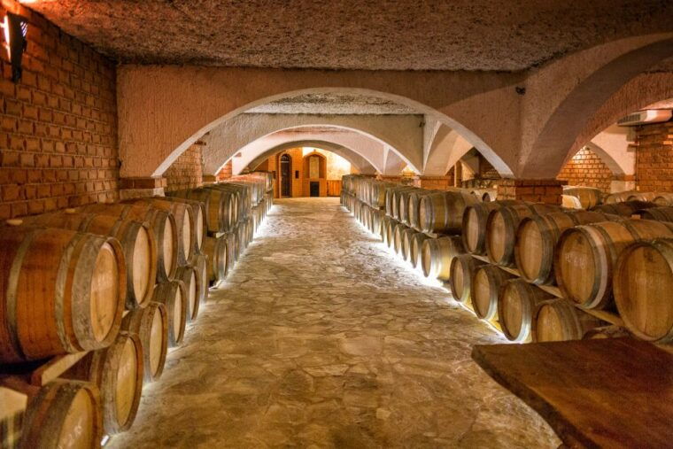 From Dubrovnik: Island of Korula with wine tasting - Who Will Enjoy This Tour?