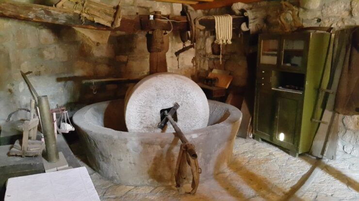 From Dubrovnik: Majkovi Village and Ston Private Food Tour - Activity Details