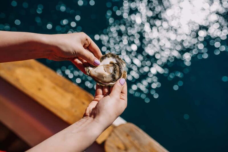 From Dubrovnik: Mali Ston Oyster Farm & Boat Experience - Good To Know