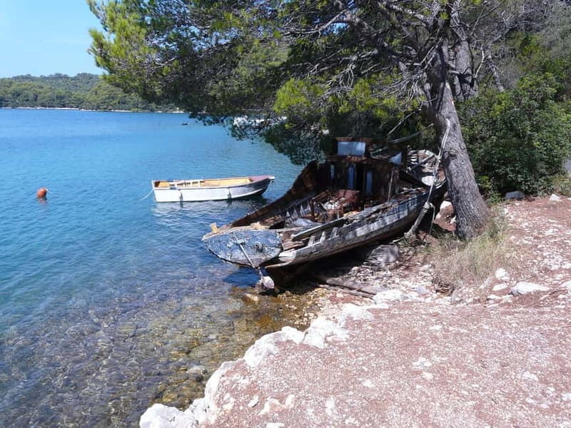 From Dubrovnik: Mljet Island Guided Catamaran Day Tour - Practical Details and What to Expect