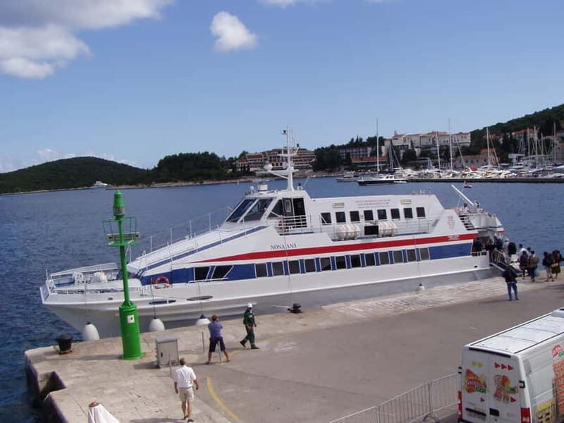 From Dubrovnik: Mljet Island Guided Catamaran Day Tour - Who Is This Tour Best For?