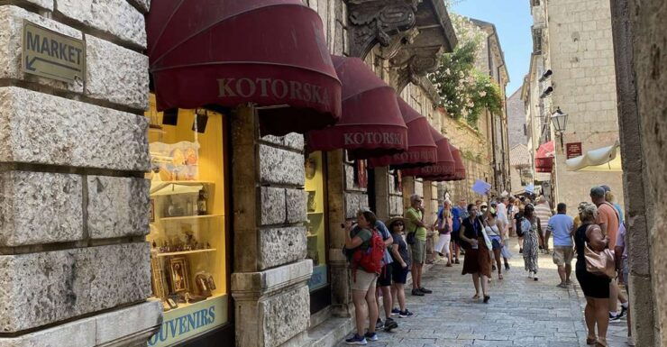 From Dubrovnik: Montenegro Private Tour - Tour Activity Details