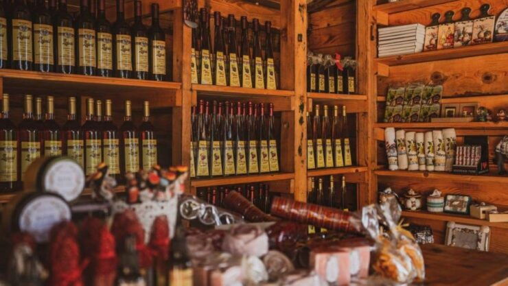 From Dubrovnik Oyster and Wine Tasting Tour in Ston Bay - Tour Details