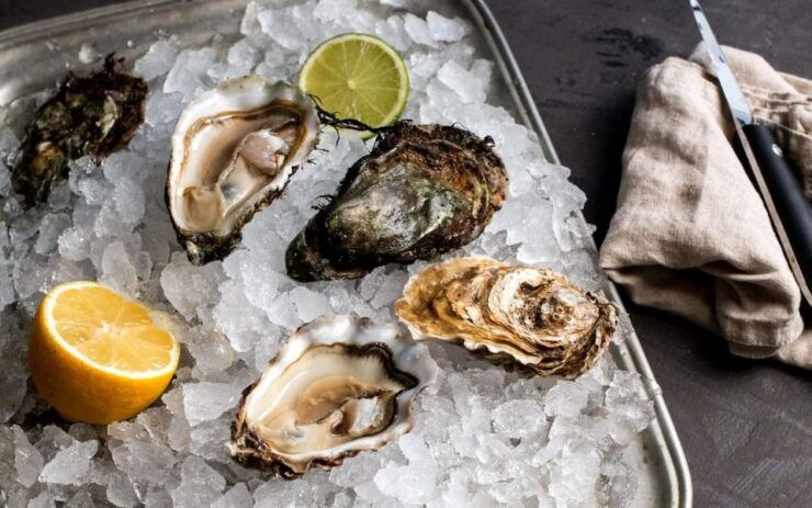 From Dubrovnik Oyster and Wine Tasting Tour in Ston Bay - Tour Highlights