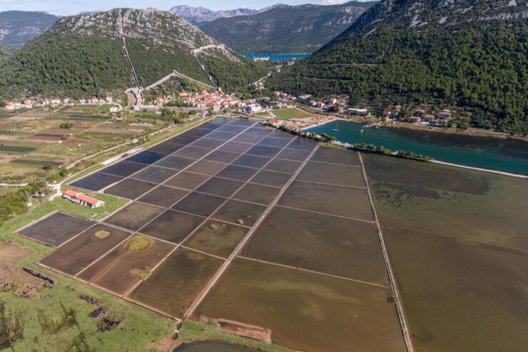 From Dubrovnik: Ston and Korčula Tour and Tastings - Tour Details