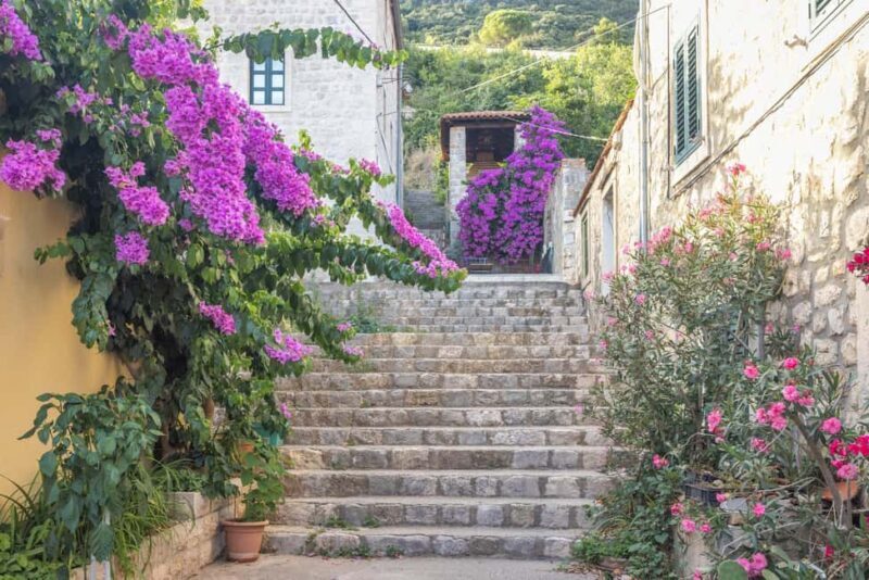 From Dubrovnik: Ston Town, Peljesac & Saltworks Private Tour - An In-Depth Look at the Tour