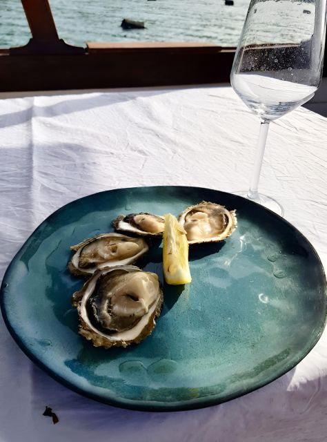 From Dubrovnik: Wine and Gastro Private Tour up to 8 Pax - Tour Duration and Cancellation Policy