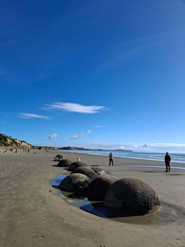 From Dunedin: Mt. Cook and Lake Pukaki Private Day Tour - Introduction