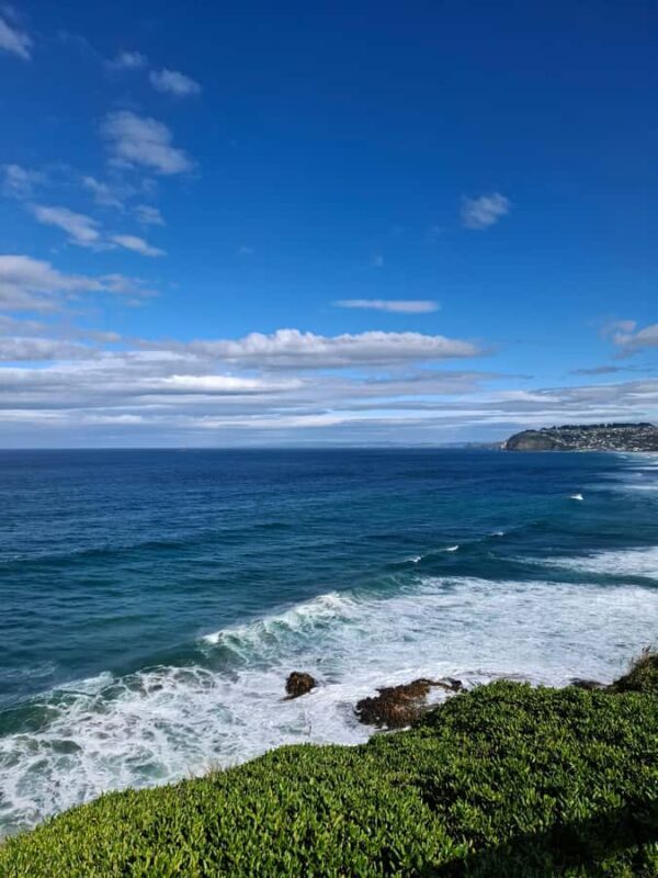 From Dunedin: Mt. Cook and Lake Pukaki Private Day Tour - Transportation and Comfort