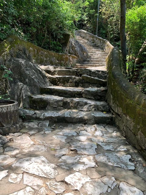 From Dung Quat: Highlights Tour Hoi an and Da Nang Full Day - Inclusions and Exclusions