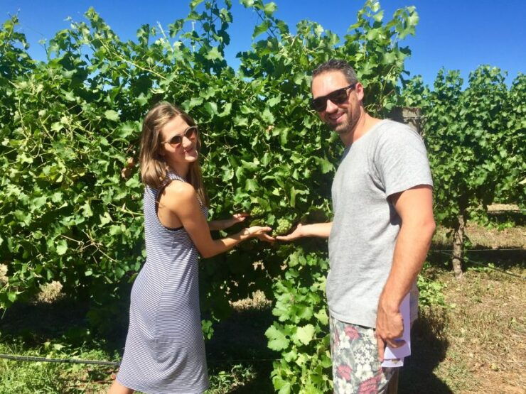 From Dunsborough/Busselton: Margaret River Wine Adventure - Tour Overview