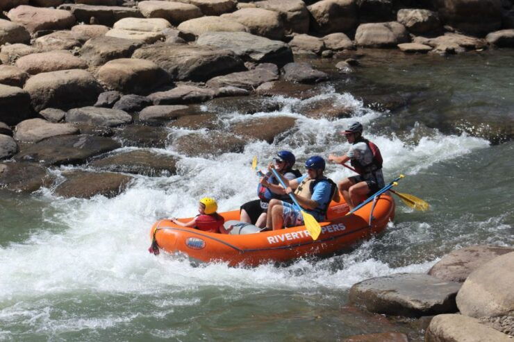 From Durango: Animas River Whitewater Rafting - Experience Highlights