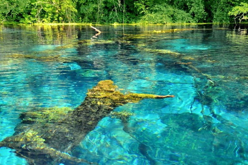 From Durres : Blue Eye, Ksamil Islands, and Saranda Day Tour - Valuing the Price