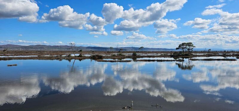 From Durrës: Divjakë-Karavasta National Park Day Trip - Frequently Asked Questions
