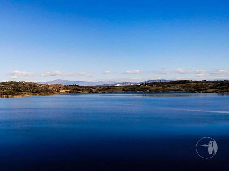 From Durres/Golem: Berat City & Belshi Lake Day Trip - Experience the Charm of Albania with a Day Trip from Durres or Golem