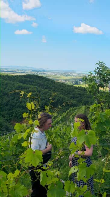 From Durrës/Golem: Vineyards, Wine Food Tasting & Boat Tour - The Sum Up  