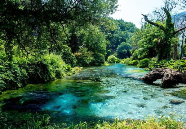 From Durrës or Golem: Ksamil, Saranda and Blue Eye Tour - Customer Feedback