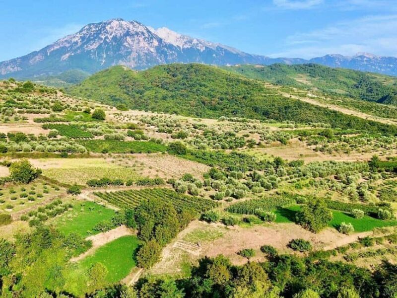 From Durrës: Wine Tasting at Alpeta Winery in Berat - Good To Know