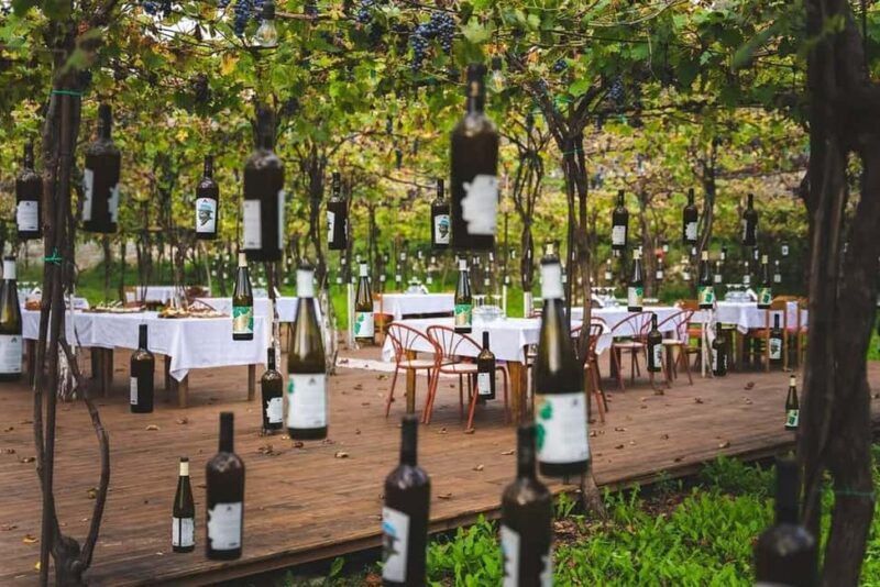 From Durrës: Wine Tasting at Alpeta Winery in Berat - The Farm-to-Table Albanian Lunch