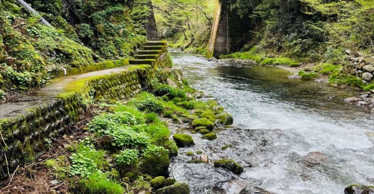 From Echizen With Monk:Private Countryside Tour - Free Cancellation and Flexible Booking