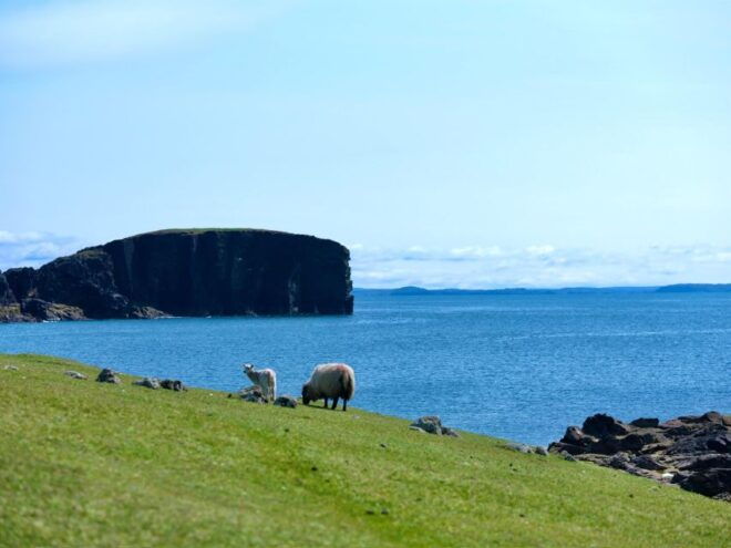 From Edinburgh: 6-Day Shetland & Nothernmost Explorer - Reservation & Cancellation
