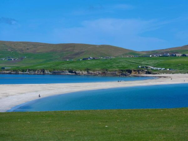 From Edinburgh: 6-Day Shetland & Nothernmost Explorer - The Sum Up